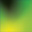 Creative Suite Web Premium